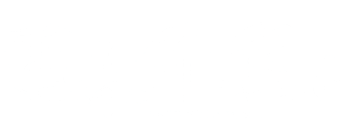 電気外祭り